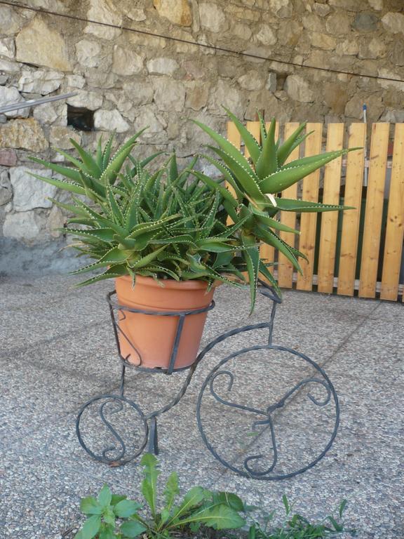 Appartamento Michela برنزوني سول جاردا الغرفة الصورة